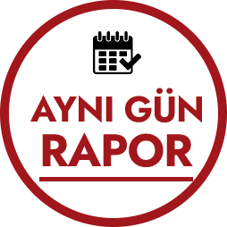 Aynı Gün Rapor